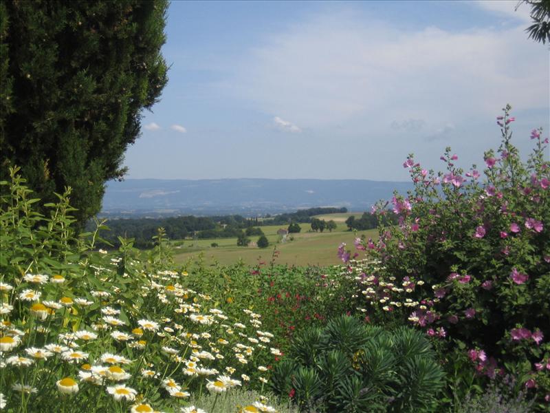 Le Moulin à Vent_81470 CUQ TOULZA_9